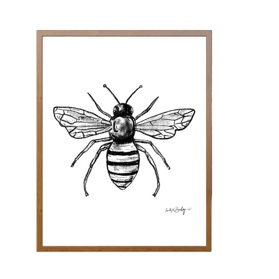 Sketch honey bee side view drawing Royalty Free Vector Image-saigonsouth.com.vn