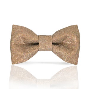 Champagne Gold bow tie & pocket square | Champagne Gold with rainbow AB Glitter color bow tie | Christmas New year party |CK Bow Tie