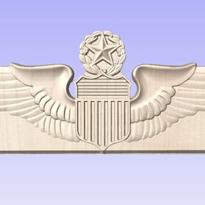 USAF Pilot Squadron Scarf hanger  (Your Choice of Style)