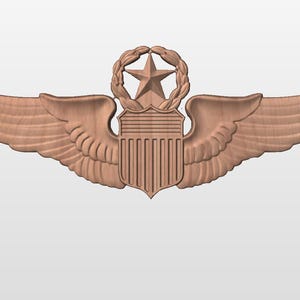 May include: A wooden, brown, US Air Force flight wings badge with a shield and a star in a wreath.