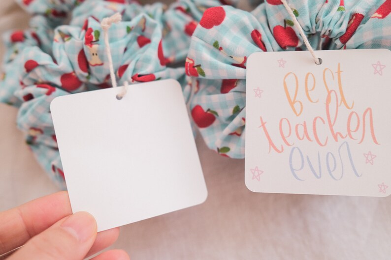 May include: A white card with the text "best teacher ever" in colorful script, tied with a white string to a blue and white gingham hair scrunchie with red apple print.