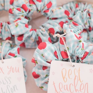 Apple Hair Scrunchie: Teacher Appreciation Gift with Favor Card image 9