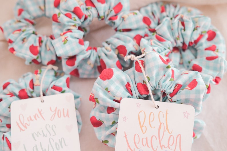 Apple Hair Scrunchie: Teacher Appreciation Gift with Favor Card image 9