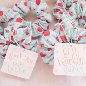 Apple Hair Scrunchie: Teacher Appreciation Gift with Favor Card image 1