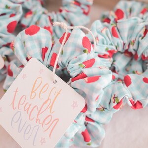 May include: A set of blue and white scrunchies with red apple prints. The scrunchies are tied together with a white string and a tag that says "Best Teacher Ever".
