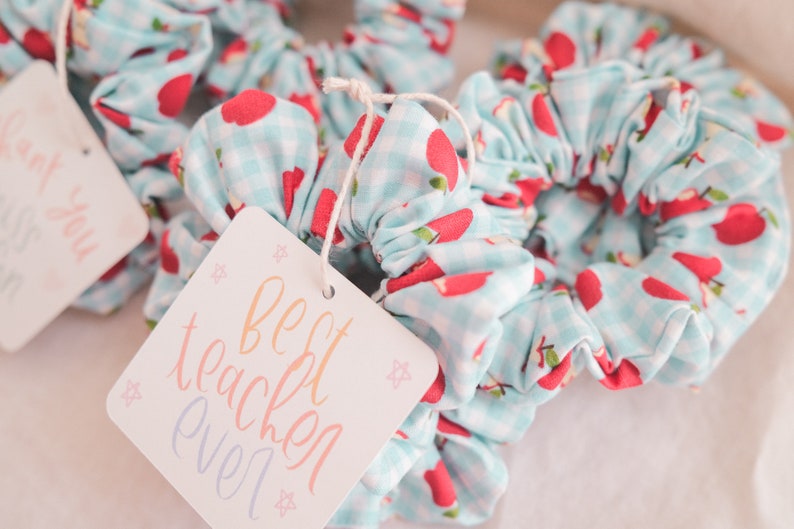 May include: A set of blue and white scrunchies with red apple prints. The scrunchies are tied together with a white string and a tag that says "Best Teacher Ever".