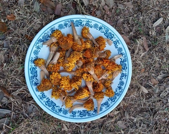 marigold seeds