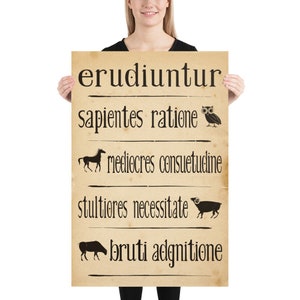 Póster de Eudiuntur - Los sabios, los promedio, los estúpidos y los brutos instruidos - Latín - Cicerón - 24 x 36, 12 x 18