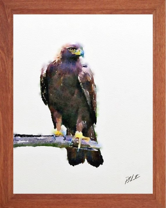 Falcon Painting Bird Painting Wildlife Watercolour Wildlife Wall Art Digital Print