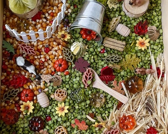 Autumn Harvest Sensory Kit