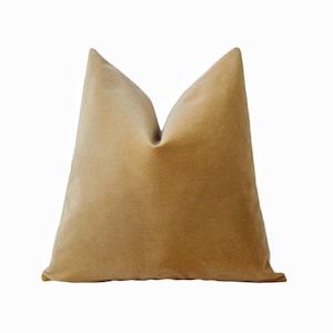 Camel Velvet Pillow Cover