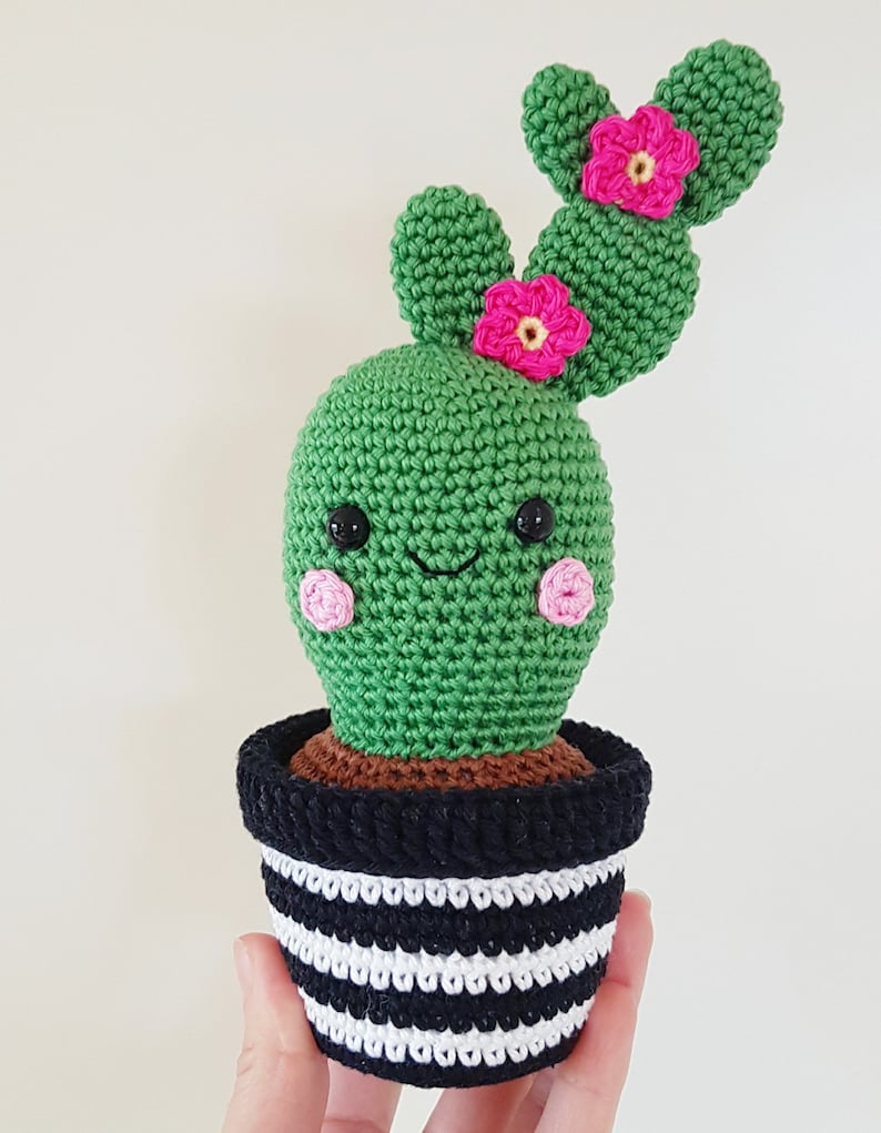 Cactus Friends PDF Pattern, amigurumi, crochet image 7