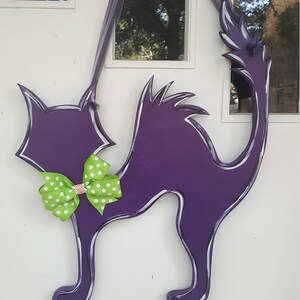 Scardy Cat door hang in any color you want