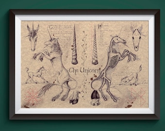 Large - Unicorn - European Folklore Art Print