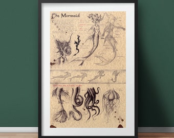 Large - Mermaid - Mythology Art Print