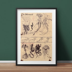 Large - Mermaid - Mythology Art Print