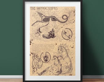 Large - Hippocampus - Mythology Art Print