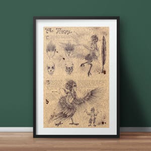May include: A framed print with detailed pen and ink illustrations of a harpy. The artwork includes sketches of the harpy's anatomy, a full figure, and a feather, set against a parchment-like background. The title "The Harpy" is written at the top.
