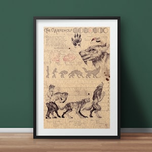 Large - Werewolf - European Folklore Art Print