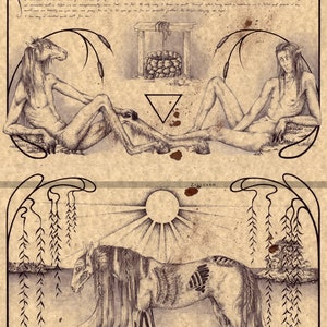 Large  Kelpie  Scottish Mythology Art Print image 4