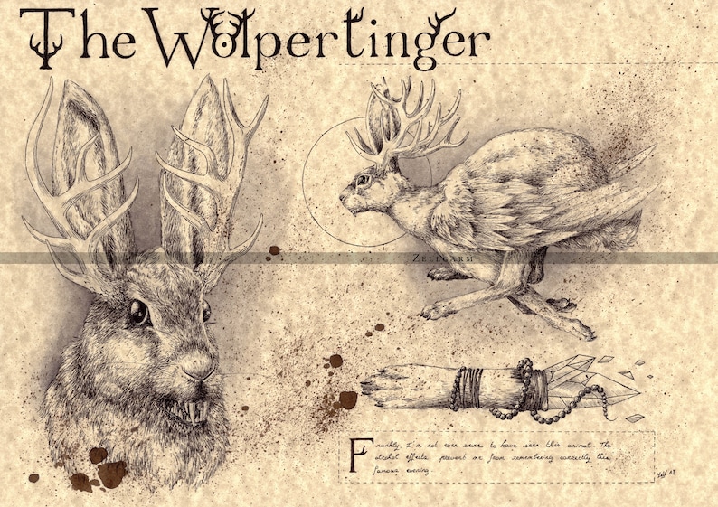 Medium - Wolpertinger - German Folklore Art Print - Etsy