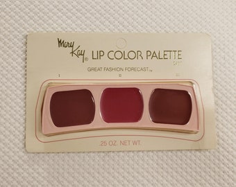 Vintage 80s Mary Kay Lip Color Palette Great Fashion Forecast Plums