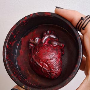 Peut inclure: Une sculpture de cœur anatomique rouge dans un bol noir avec de la peinture rouge éclaboussée. Le bol est tenu dans une main.