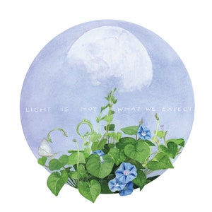 May include: A watercolor painting of a moon with a cloud in front of it. The moon is surrounded by blue morning glories and green leaves. The text "LIGHT IS NOT WHAT WE EXPECT" is written in white on the blue background.