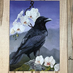Cartão postal Orchid Crow