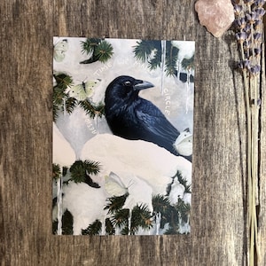 Corbeau dans la neige Carte postale
