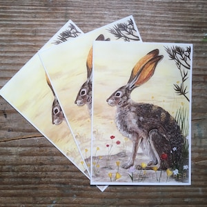 May include: Three watercolor paintings of a jackrabbit with large ears and a brown and gray coat. The jackrabbit is standing in a field of yellow and red flowers. The artist's signature, "Camille Wither", is in the bottom right corner of the painting.