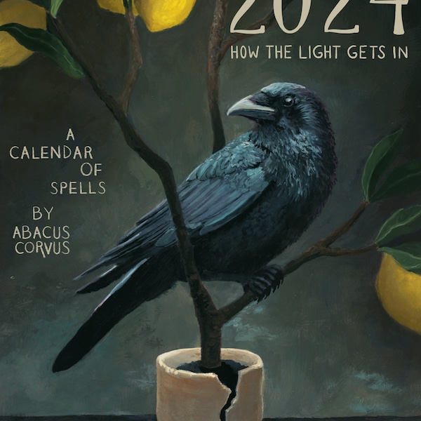 How the Light Gets In: A 2024 Calendar of Spells