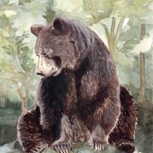 May include: A watercolor painting of a brown bear sitting on a rock in a forest. The bear is looking down and has a peaceful expression. The text "GRAVITY'S LULLABY" is written below the bear.