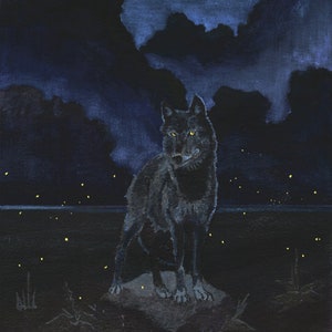 Könnte beinhalten: Ein schwarzer Wolf steht auf einem Felsen in einer dunklen, sternenklaren Nacht. Der Wolf hat gelbe Augen und blickt direkt auf den Betrachter. Der Text "WHERE AM I NOT" ist in Weiß am unteren Rand des Bildes geschrieben.