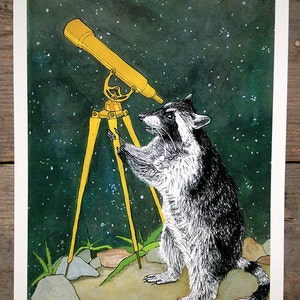 Raccoon and Telescope Print