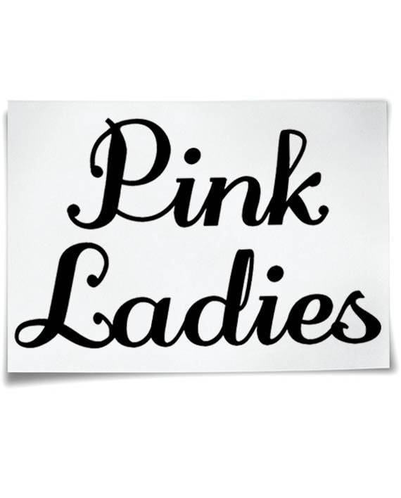 Pink Ladies Iron On T-Shirt Transfer Grease Movie Jacket Sandy Hen Night T Birds 