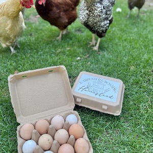 farm fresh chicken eggs
