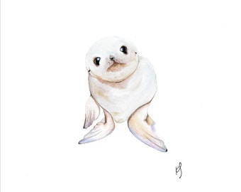 Baby Seal watercolour