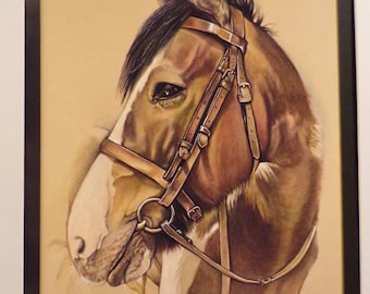 Horse giclee print