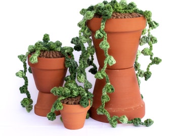 String of Pearls