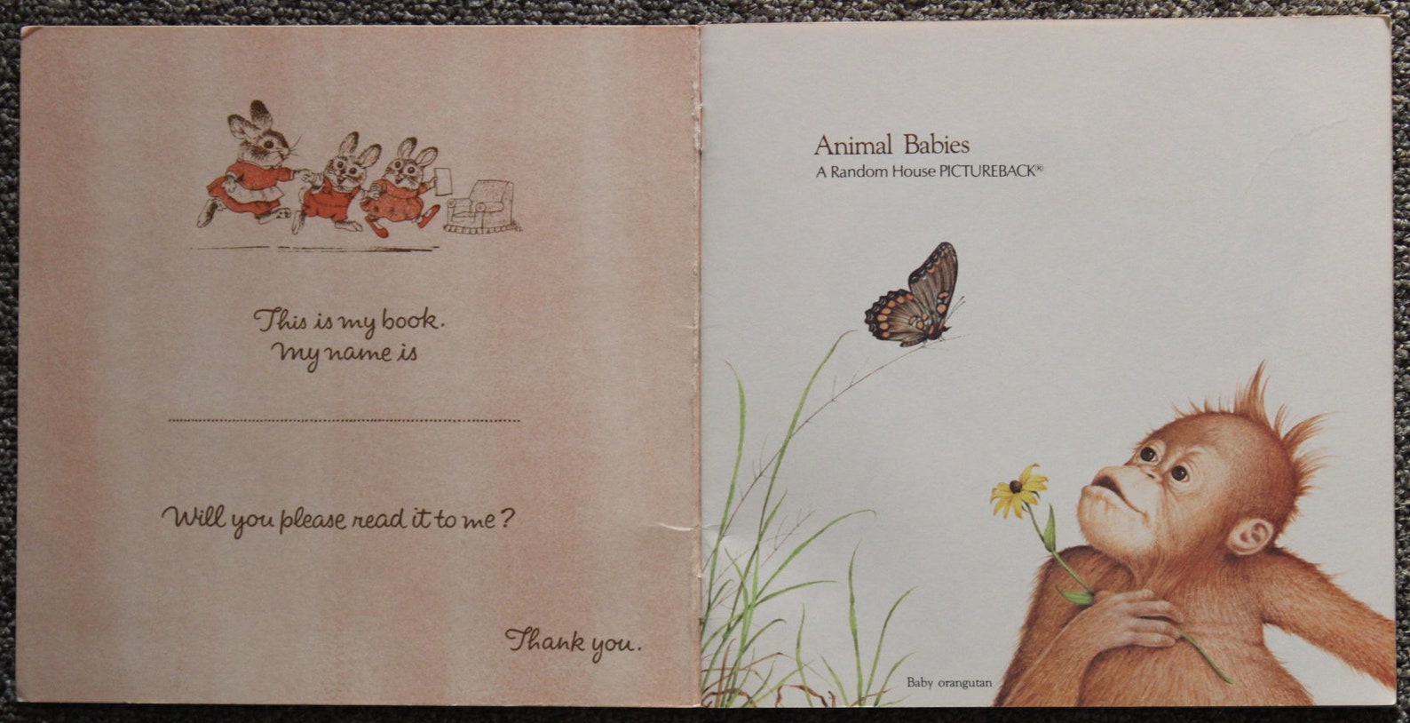 Animal Babies Harry Mcnaught 1977 Random House Inc. Etsy