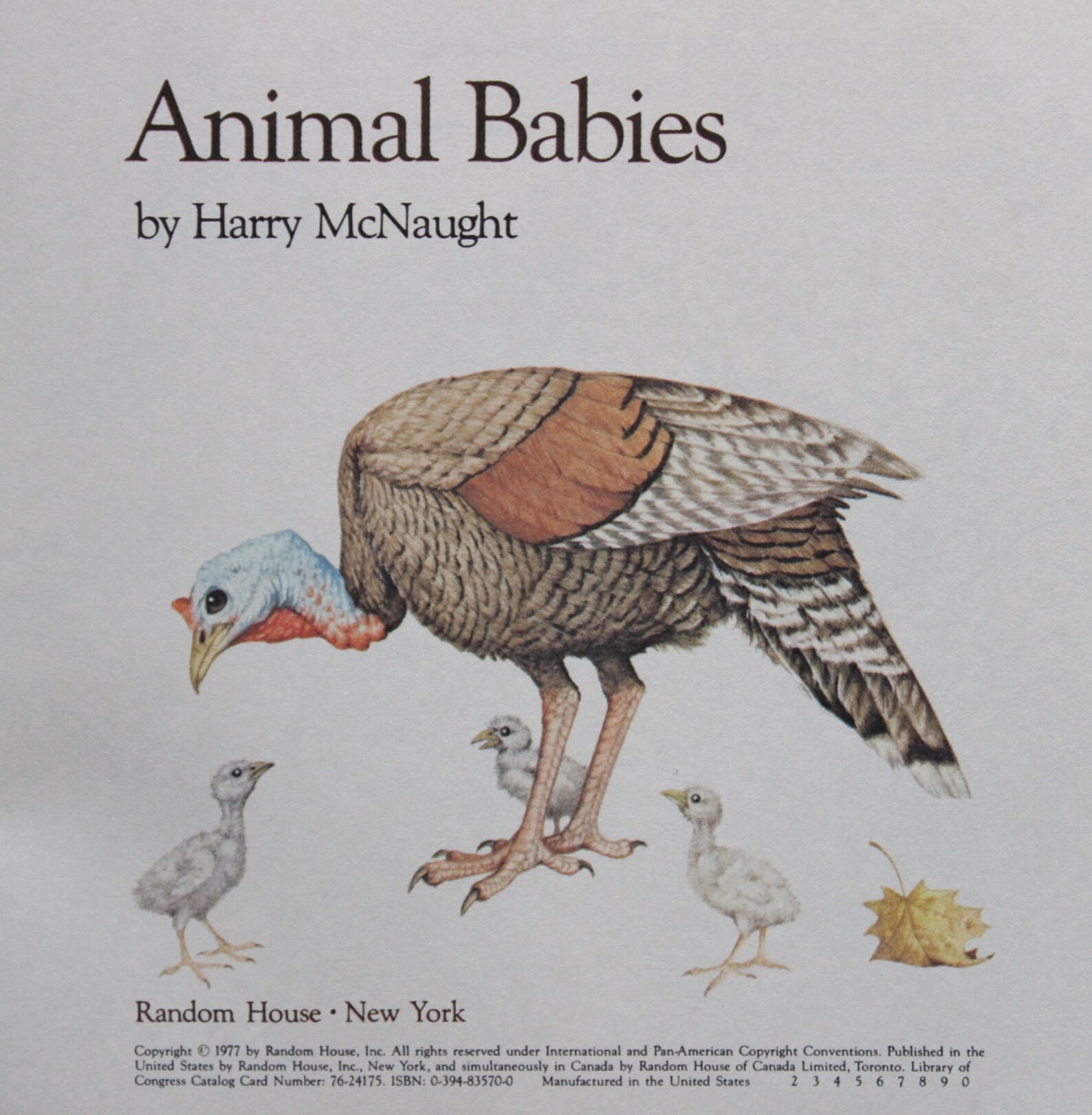 Animal Babies Harry Mcnaught 1977 Random House Inc. Etsy