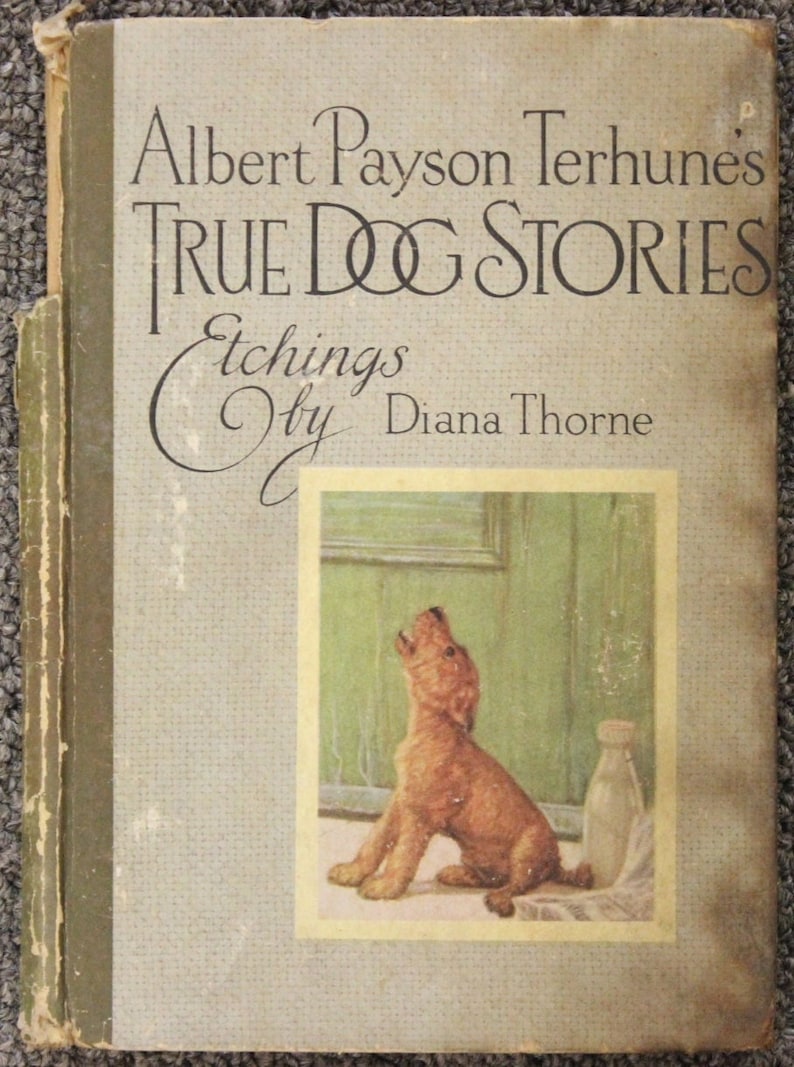 May include: A vintage book cover with the title "Albert Payson Terhune's True Dog Stories" and the text "Etchings by Diana Thorne". The cover features a brown and white dog with its head tilted back and mouth open, as if howling. The dog is sitting in front of a window with a milk bottle on the right side of the image.