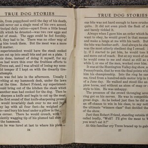 May include: A black and white vintage book with the title "True Dog Stories" printed on the cover. The book is open to pages 24 and 27, showing text about a dog named Treve and his owner's experiences training him.
