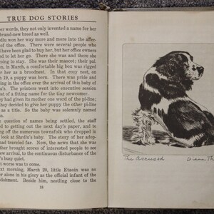 May include: A black and white illustration of a dog sitting on a white surface. The dog is looking to the right. The text "The Accused" is written below the dog. The text "Diana Thorne" is written below "The Accused".
