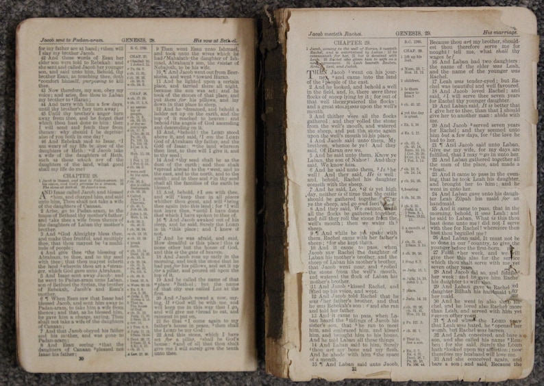 Minion Reference Bible the Holy Bible Containing the Old and New