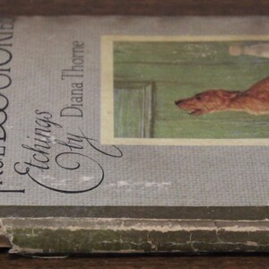 May include: A vintage book titled "True Dog Stories" by Albert Payson Terhune with illustrations by Diana Thorne. The book cover features a brown and white dog with a green door in the background.