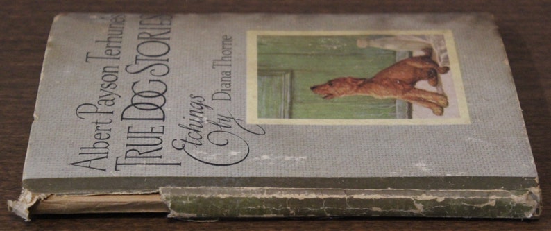 May include: A vintage book titled "True Dog Stories" by Albert Payson Terhune with illustrations by Diana Thorne. The book cover features a brown and white dog with a green door in the background.
