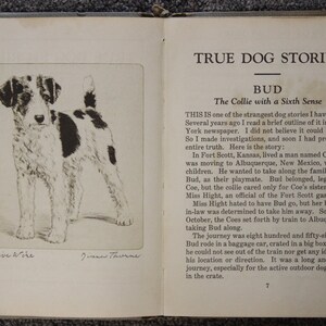 May include: A black and white illustration of a Collie dog, titled "A Live Wire" and signed "James Thorne". The illustration is from a book titled "True Dog Stories" with the chapter title "Bud: The Collie with a Sixth Sense".