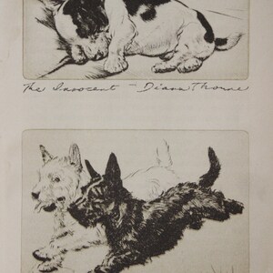 May include: Two black and white illustrations of dogs. The top image shows a dog sleeping on its side. The bottom image shows two dogs running. The text "The Innocent - Diana Thorne" is written below the top image. The text "Haig and Haig - Diana Thorne" is written below the bottom image.